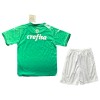 Maillot de Supporter Palmeiras Special Edition 2024 Verte Pour Enfant